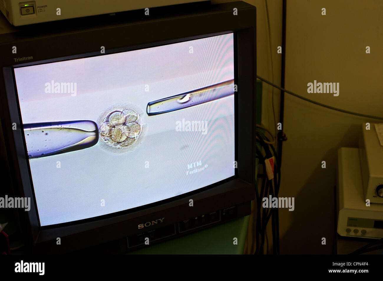 Ivf technique hi-res stock photography and images - Alamy