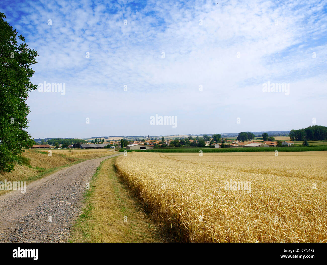 Growing paths hi-res stock photography and images - Alamy