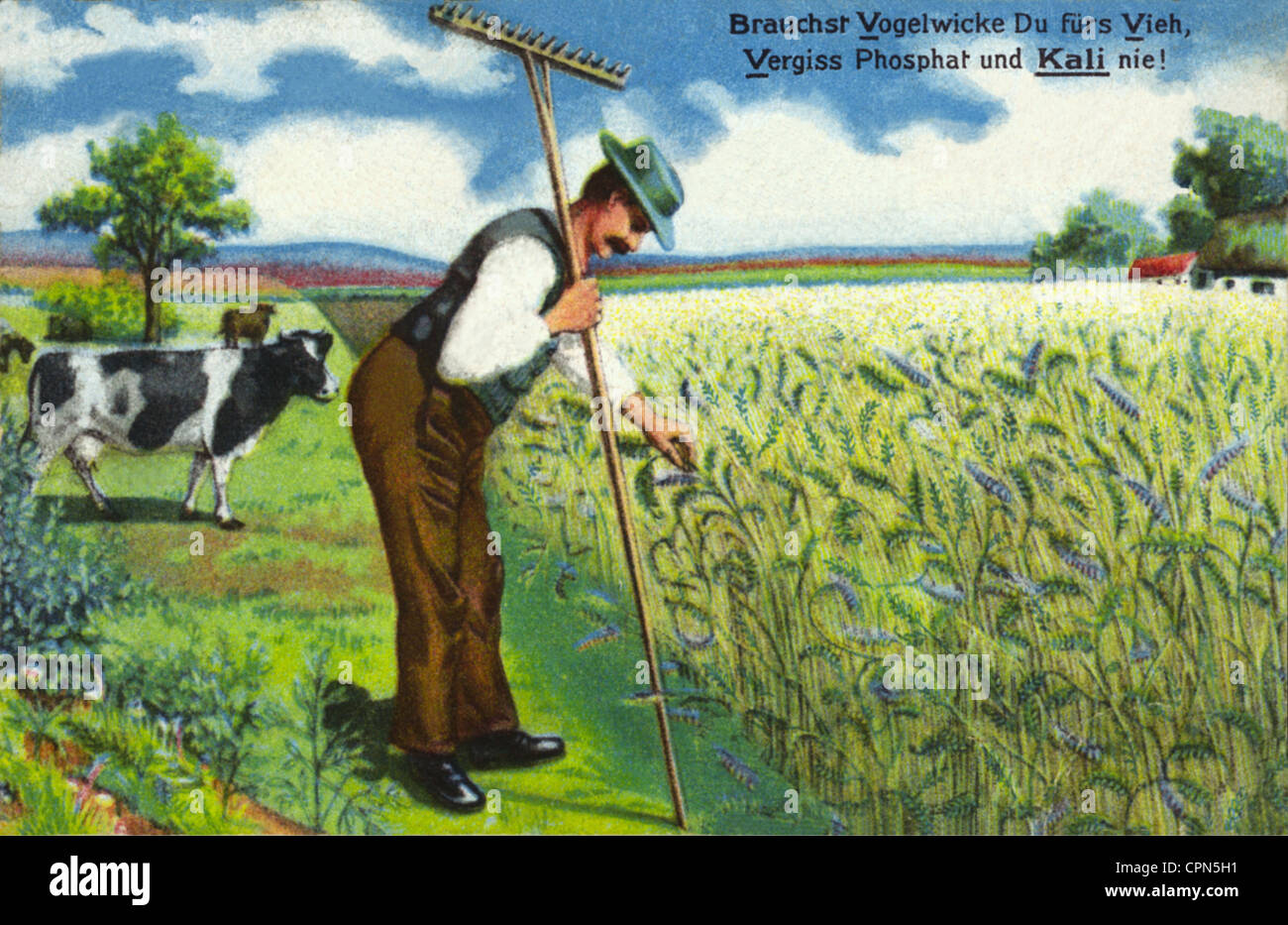 agriculture, farmer controlling his field, advertising slogan Stock