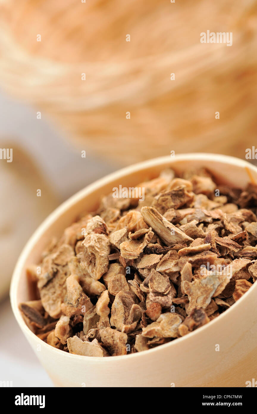 HARPAGOPHYTUM Stock Photo Alamy