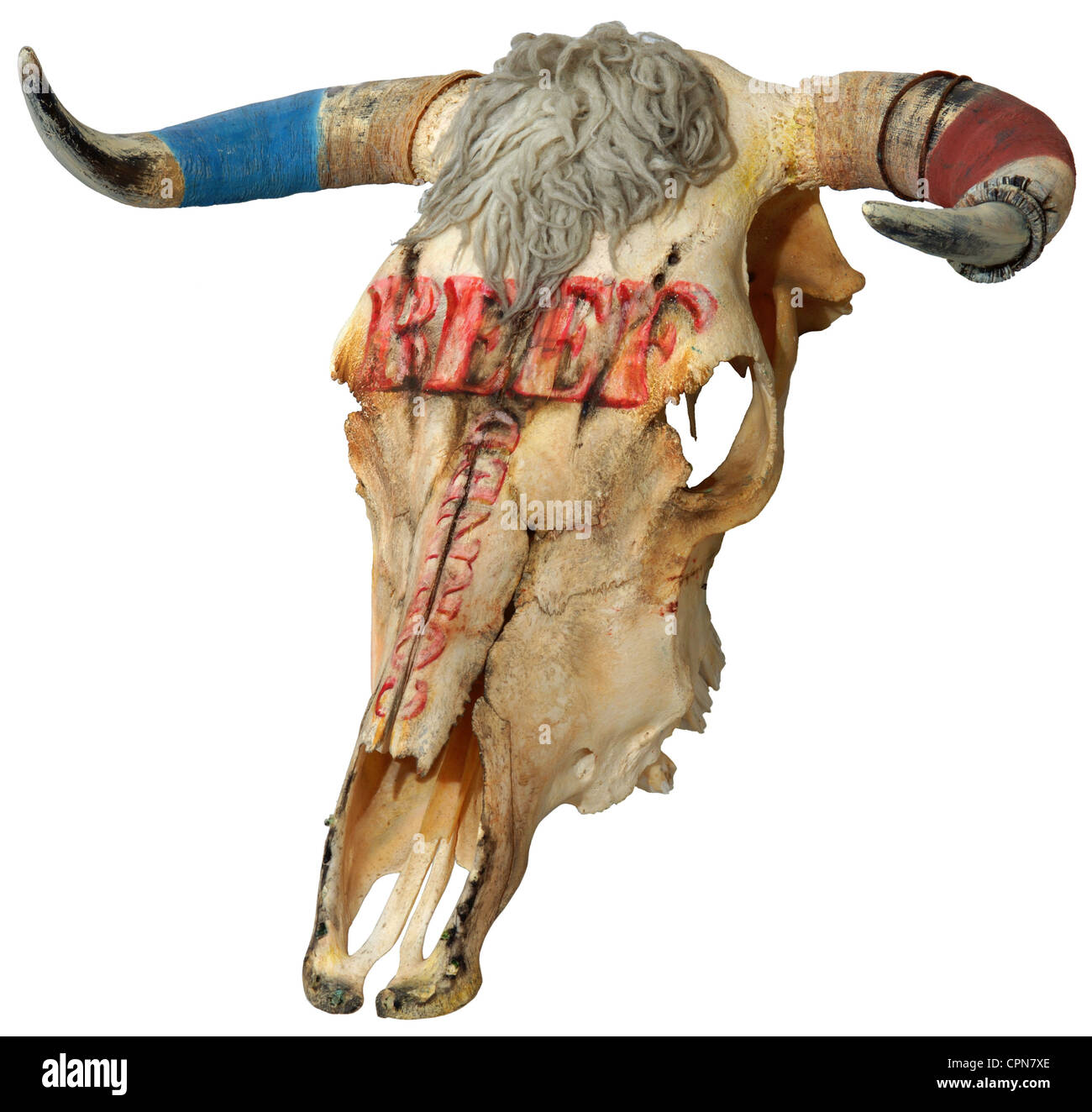 kitsch / souvenirs, cattle skull, inscription: 'Corned Beef', USA, circa 1978, Additional-Rights-Clearences-Not Available Stock Photo