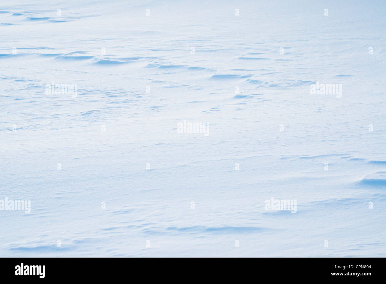 Field full snow hi-res stock photography and images - Alamy