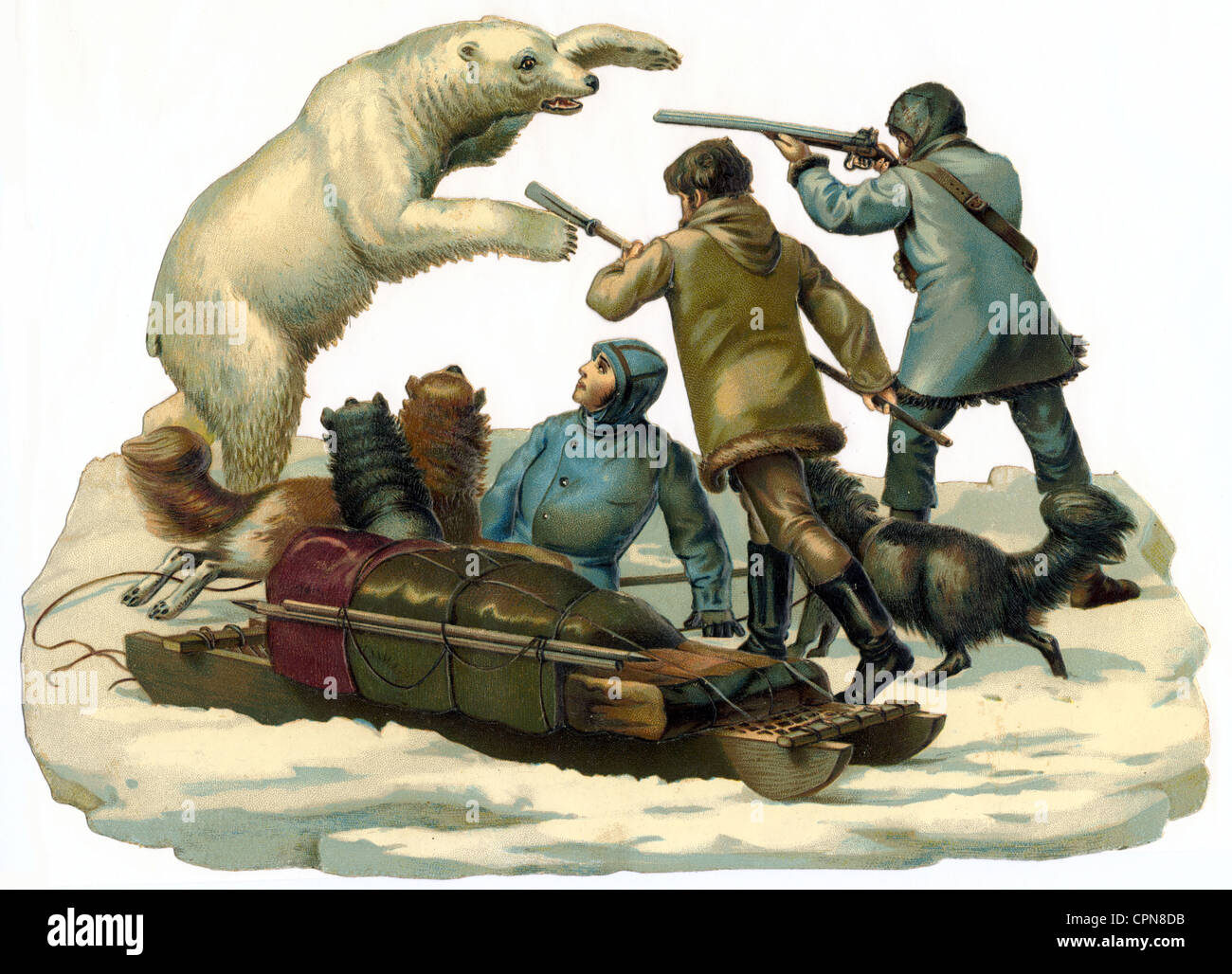 hunt, bearhunting, polar bear attacking people, Germany, circa 1895, Additional-Rights-Clearences-Not Available Stock Photo