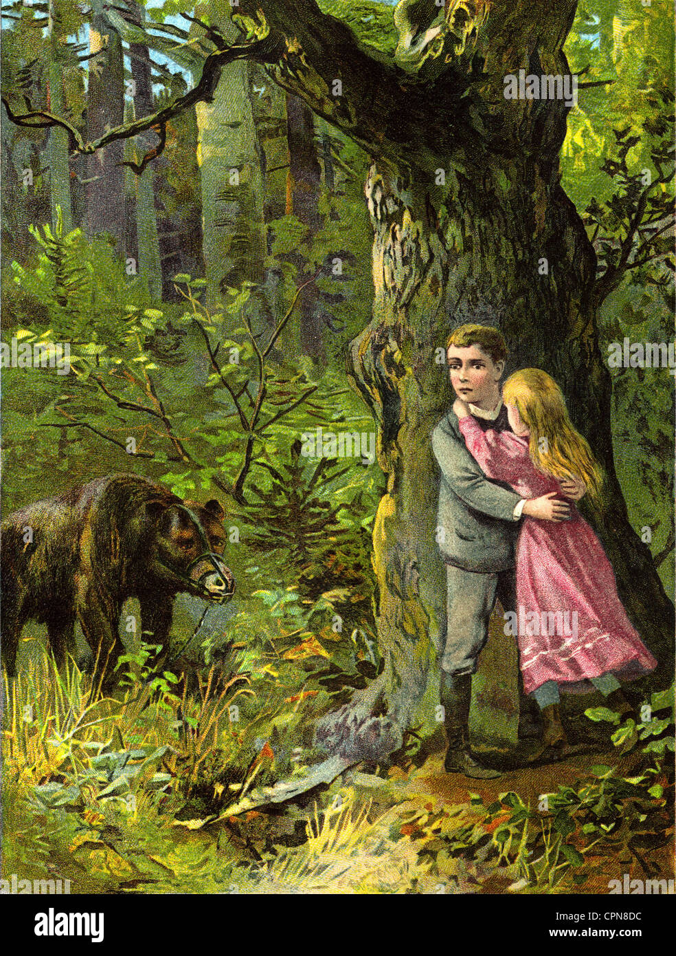 people, children, a boy and a girl attacked by a bear in the forest, Germany, 1887, Additional-Rights-Clearences-Not Available Stock Photo