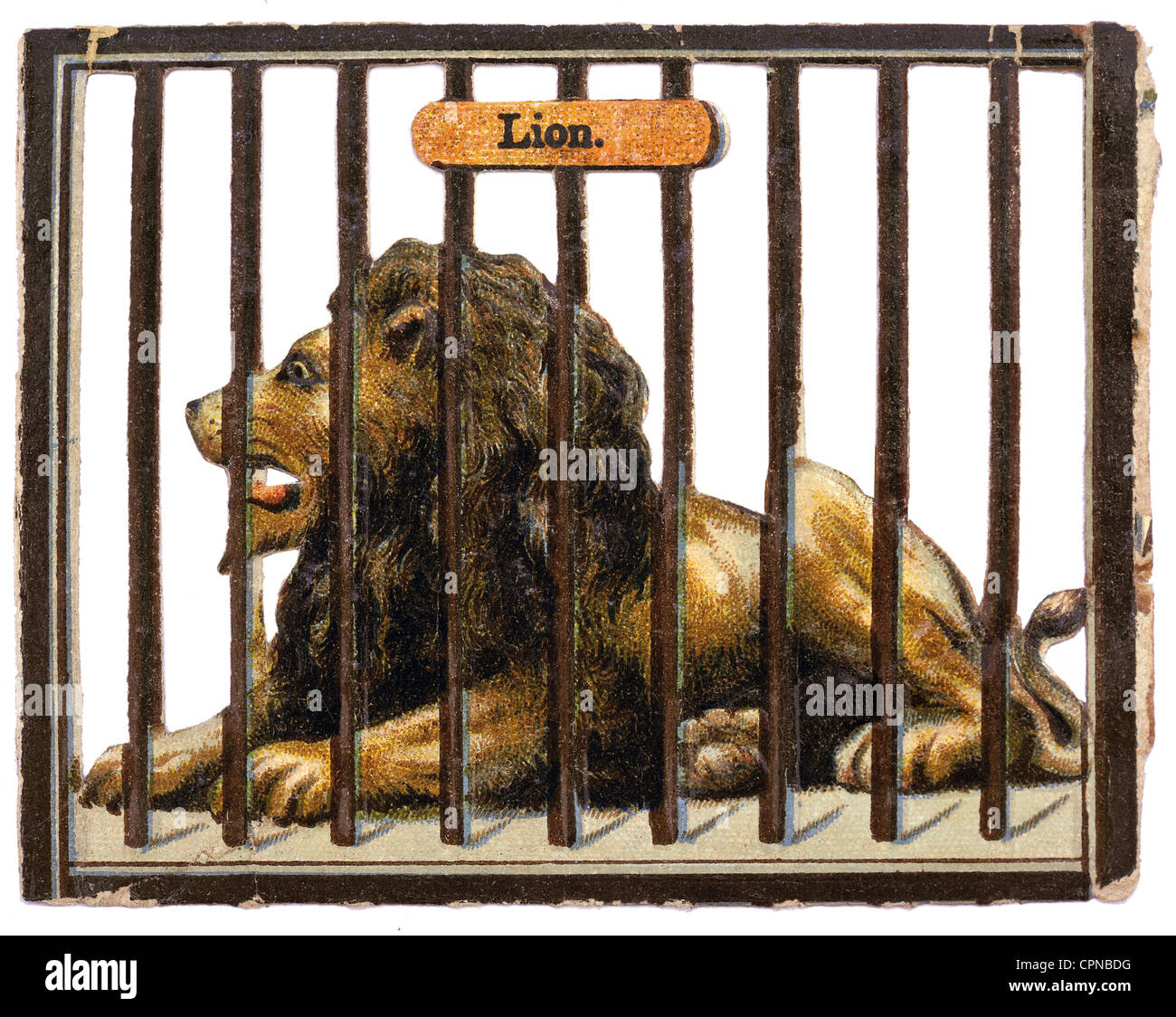 Wild beasts in cage hi-res stock photography and images - Alamy