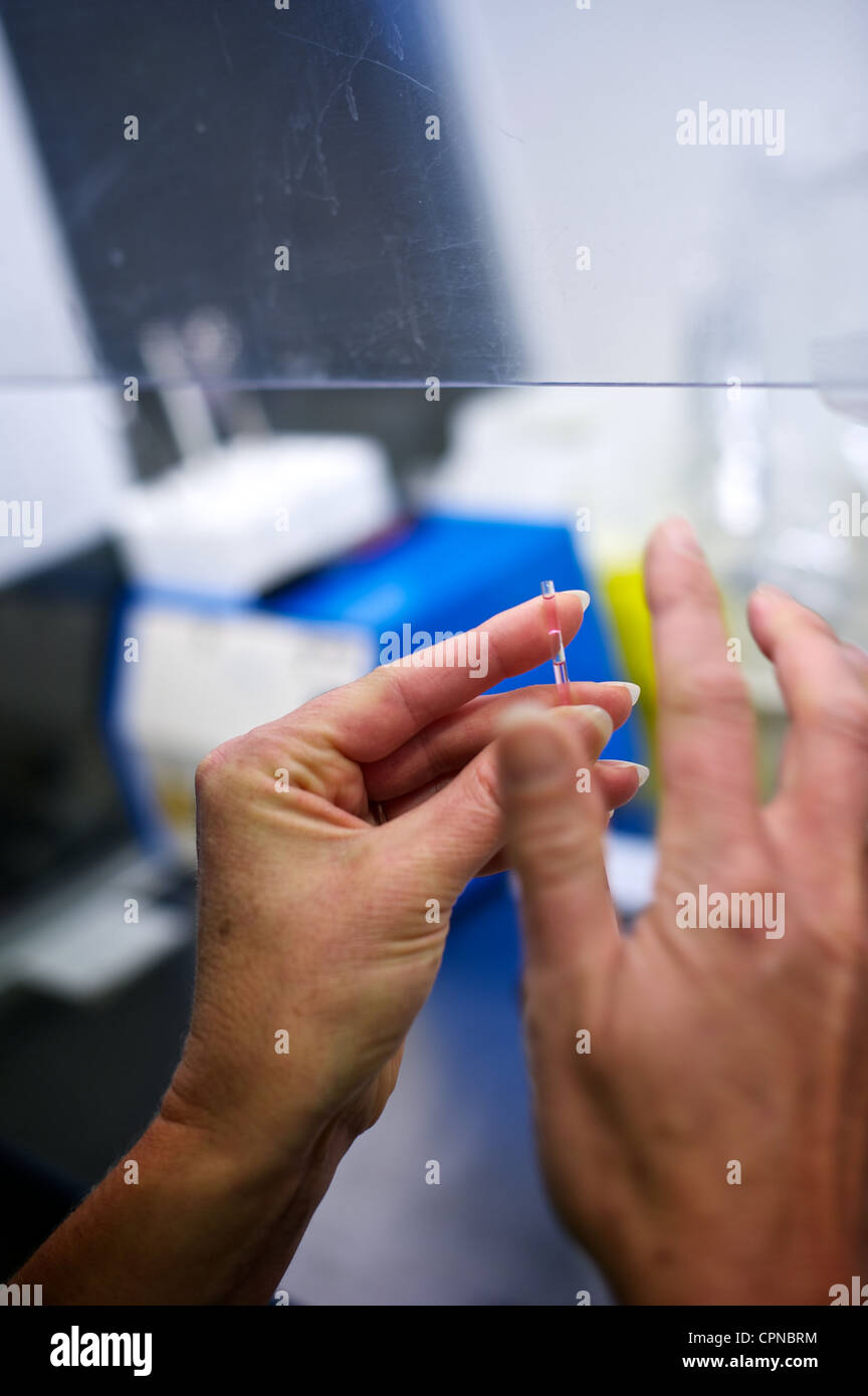 Ivf lab hi-res stock photography and images - Alamy