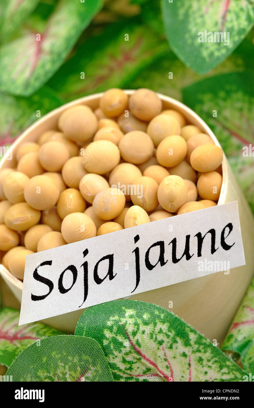 Glycine soya hires stock photography and images Alamy