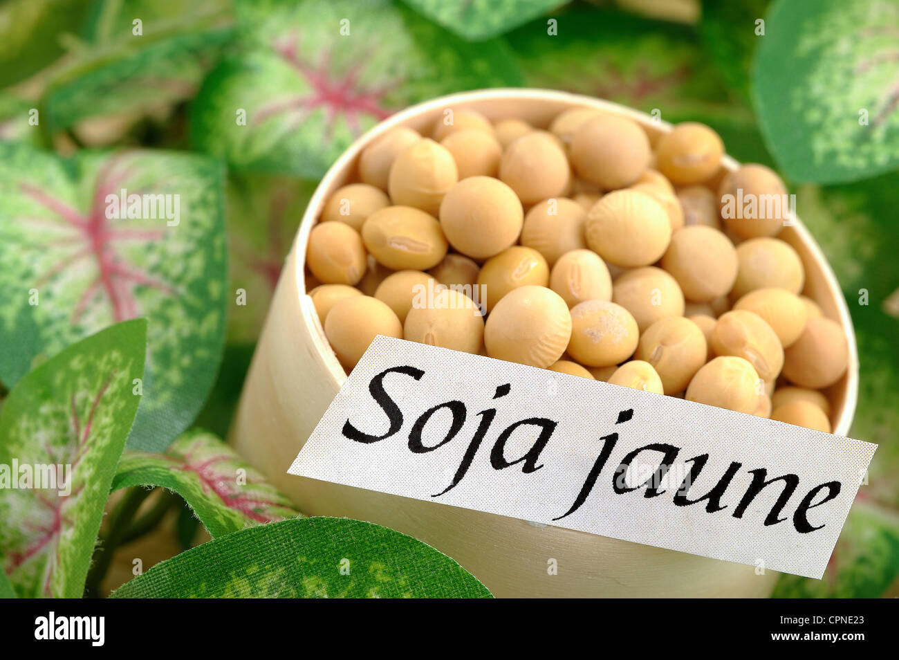 Yellow soya beans hi-res stock photography and images - Alamy