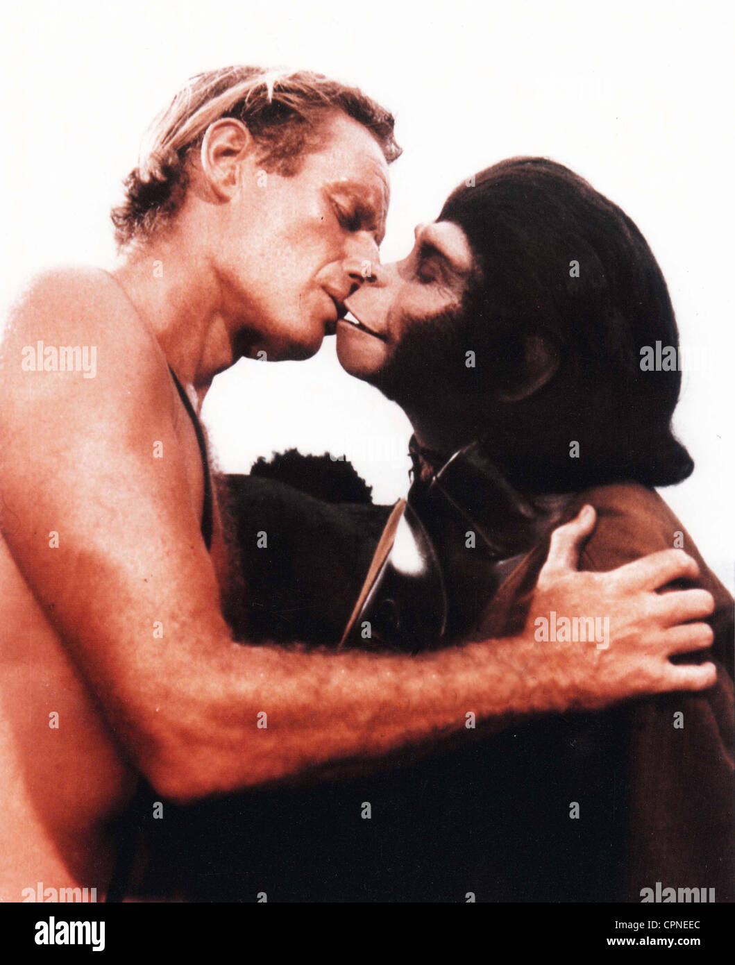 Planet of the Apes Stock Photo