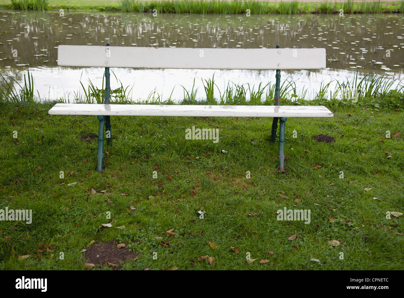 Park bench near pond Stock Photo