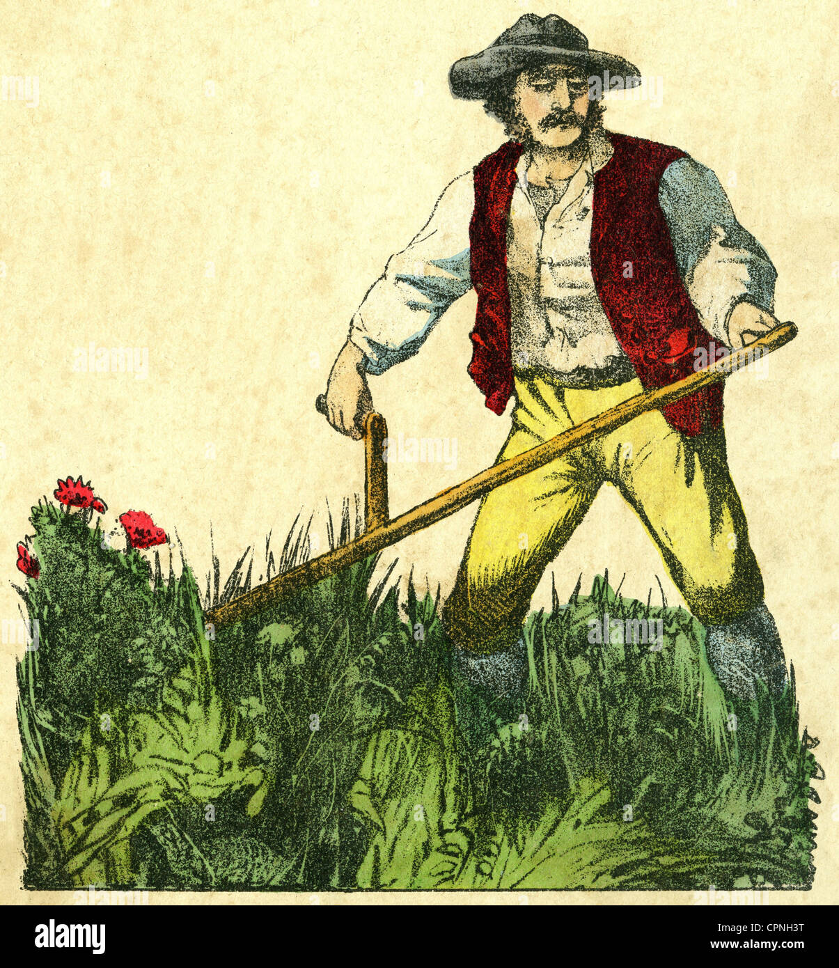 agriculture, agricultural labourer, farmer during the meadow mowing