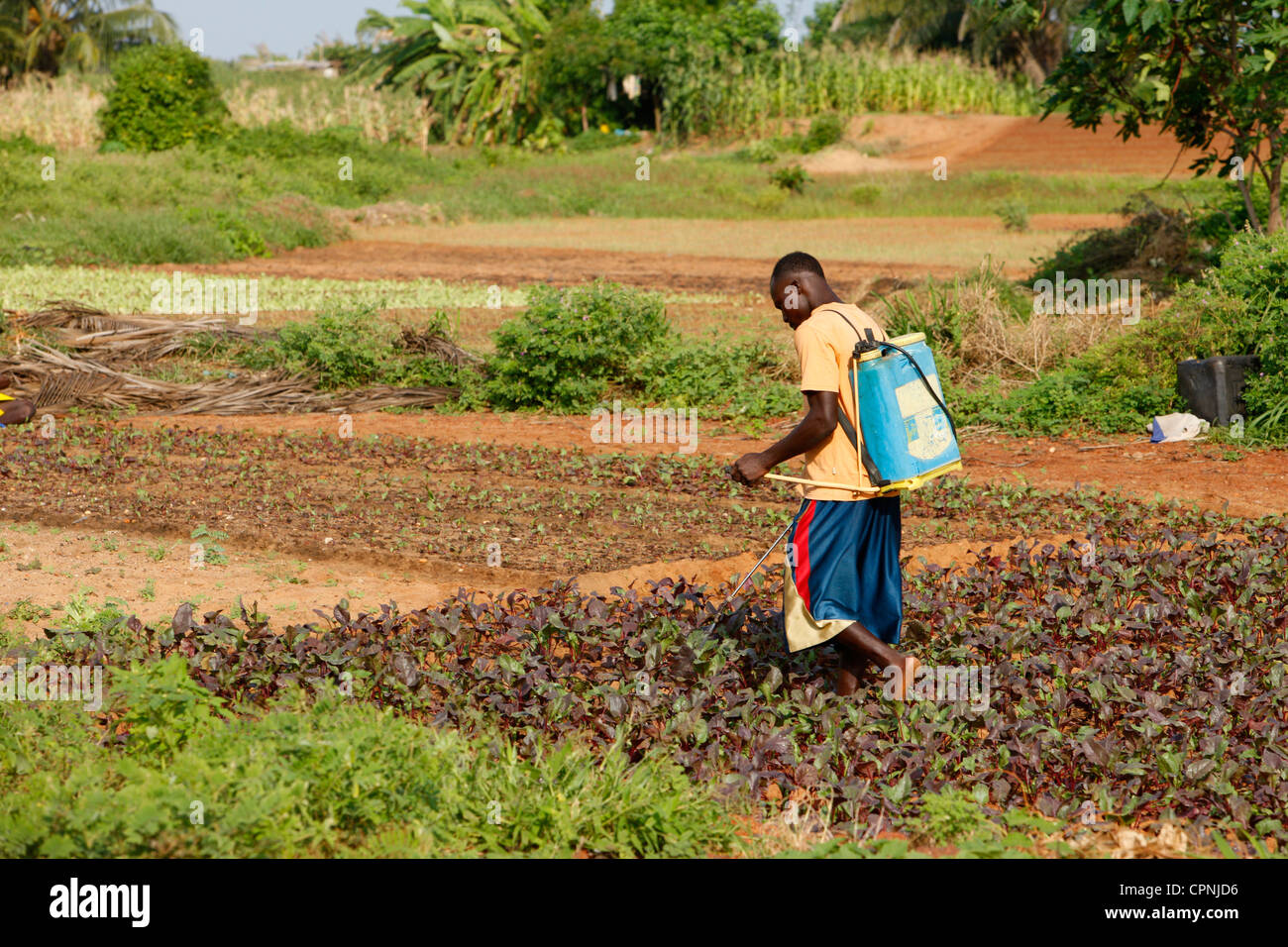 AN AFRICAN SCENE Stock Photo Alamy
