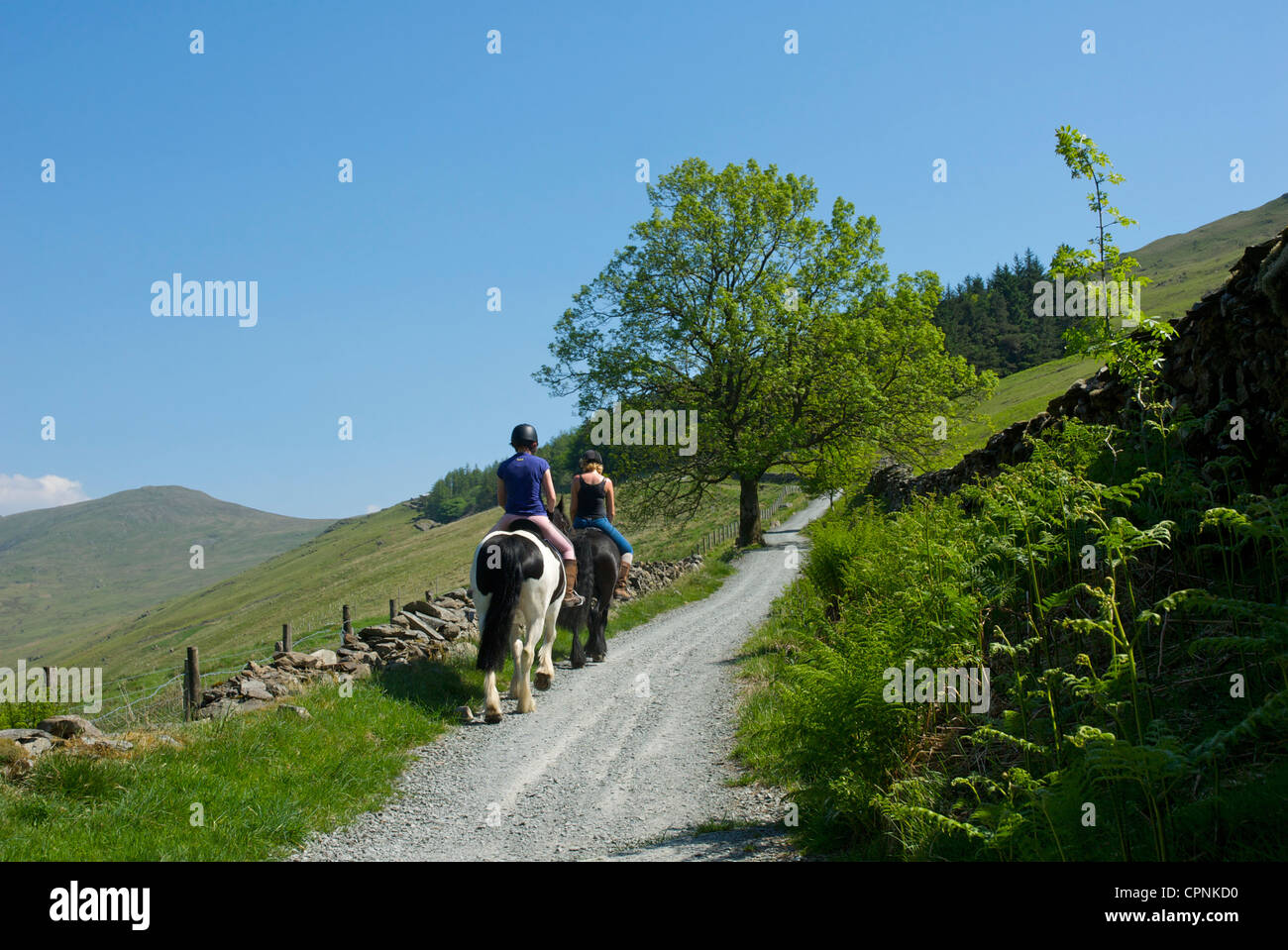 Two girls on horseback riding up the Garburn road, out of the Troutbeck Valley, Lake District National Park, Cumbria, England UK Stock Photo