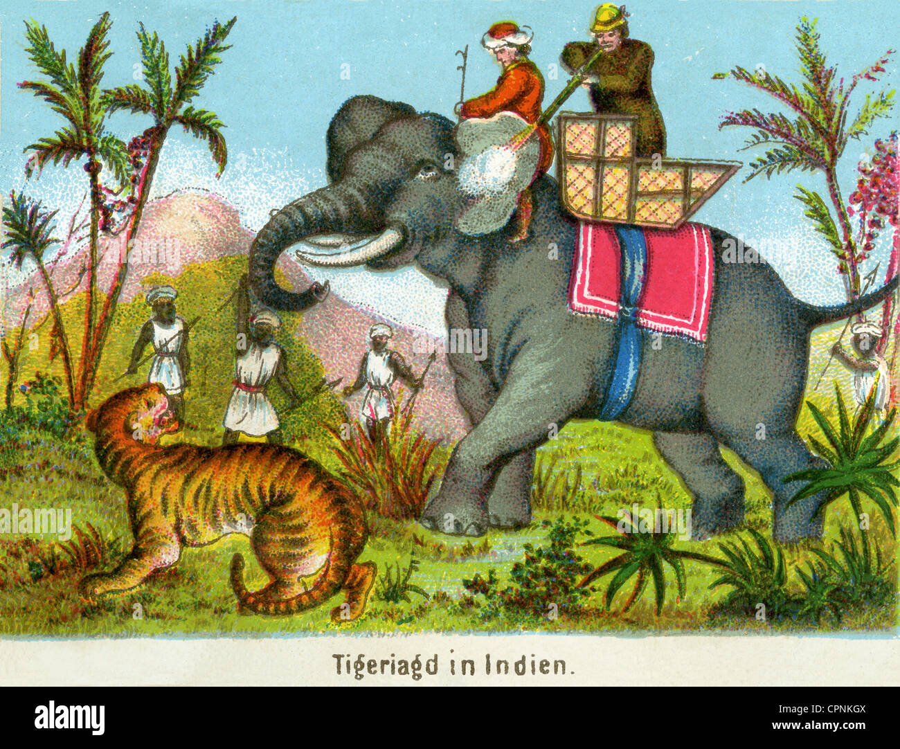 hunt, big-game hunting, tiger hunt, British big-game hunter, hunter is riding on elephant, India, lithograph, circa 1860, Additional-Rights-Clearences-Not Available Stock Photo