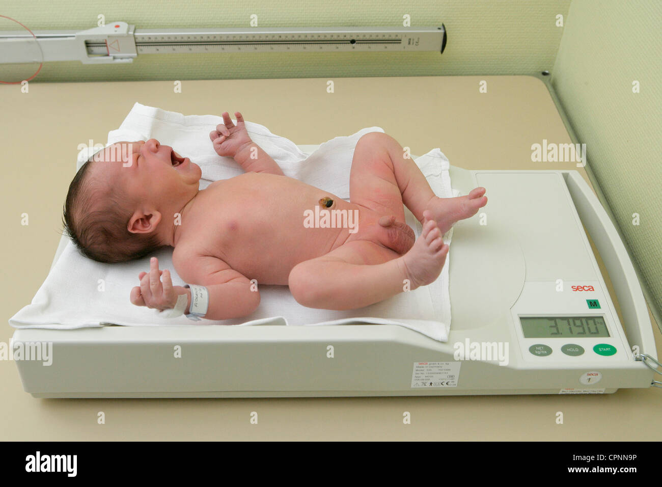 Newborn Baby Stock Photo