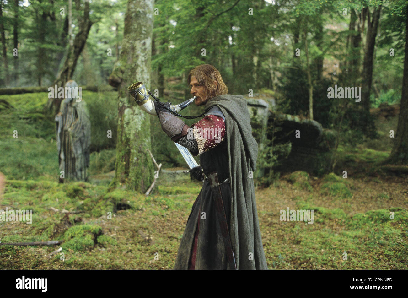 The Lord of the Rings : The Fellowship of the Ring Stock Photo - Alamy