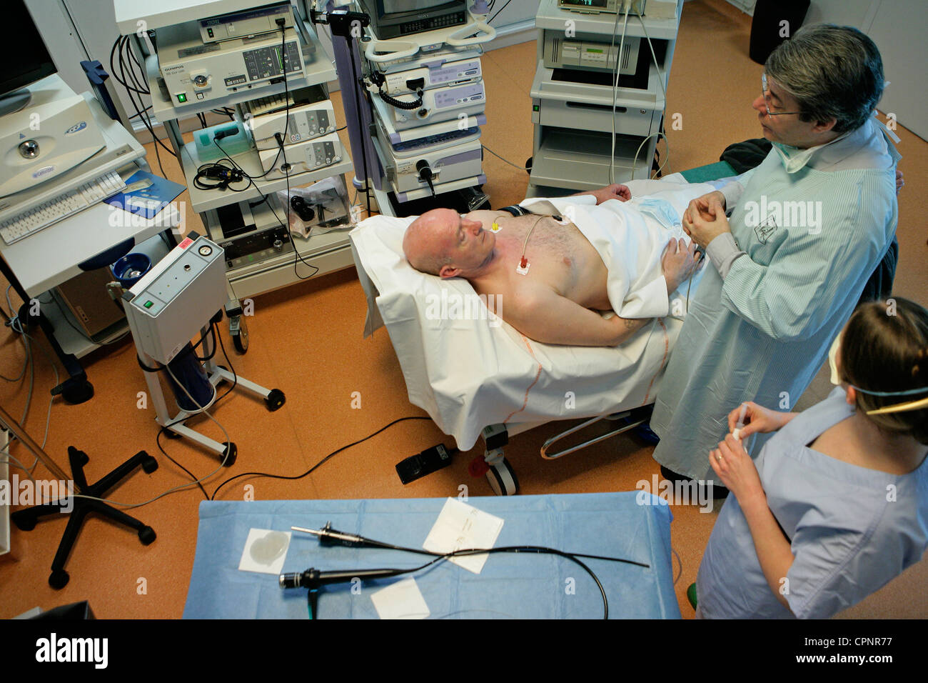 Human Lungs And Bronchial Tree High Resolution Stock Photography and