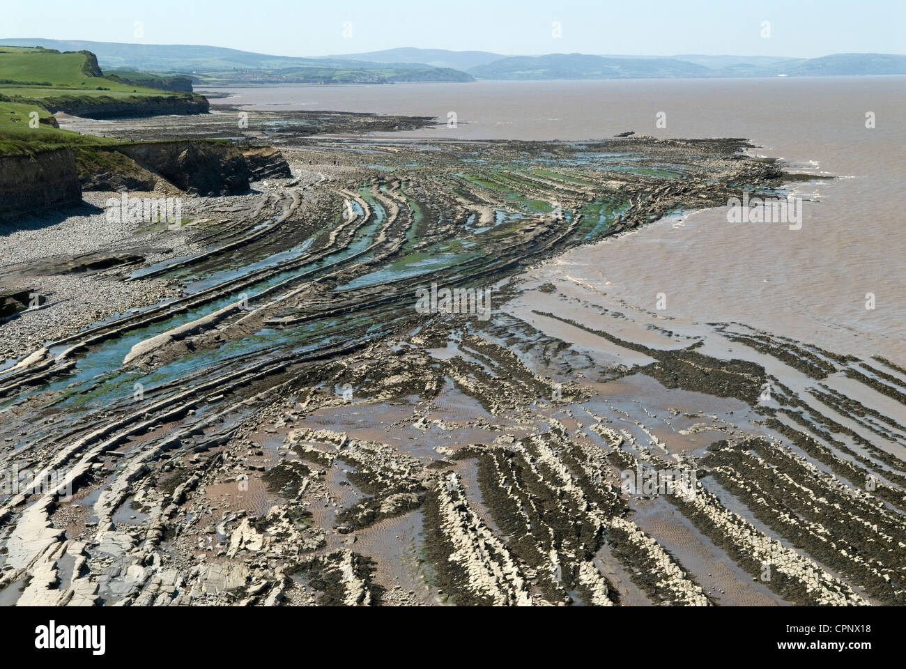 Kilve beach Quantock Hills Somerset UK, at low tide showing