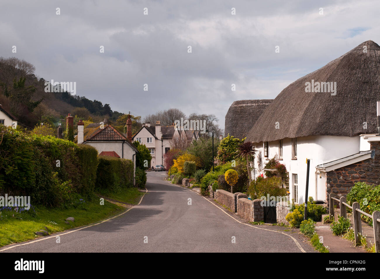Thatched Cottage In Porlock Weir Exmoor National Park Somerset