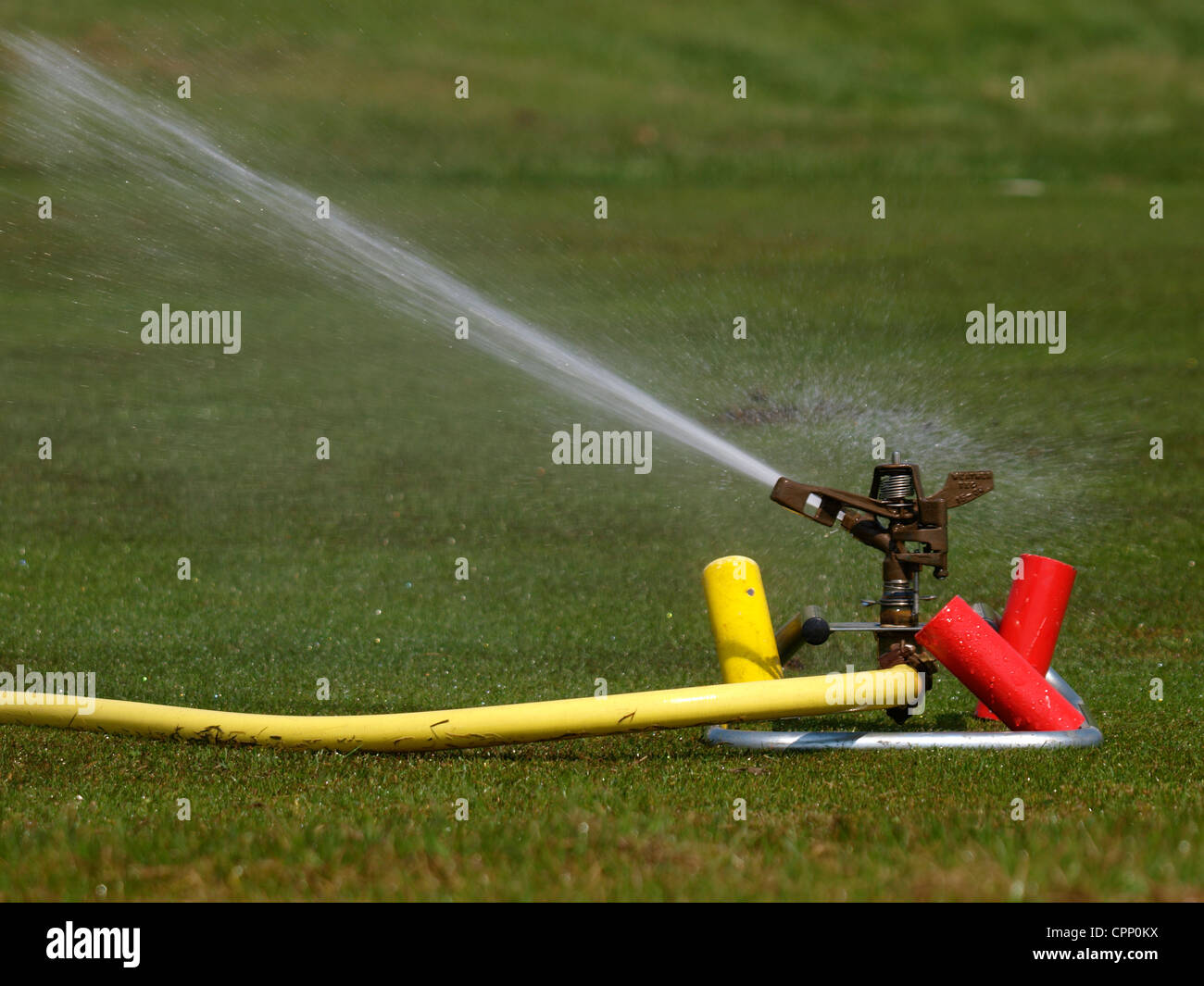Lawn watering sprinkler, UK Stock Photo Alamy