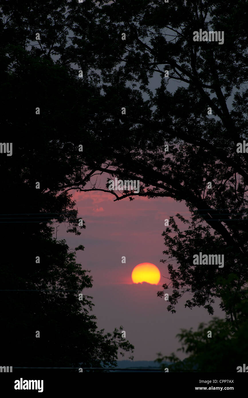 Sunset in forest clearing hires stock photography and images Alamy