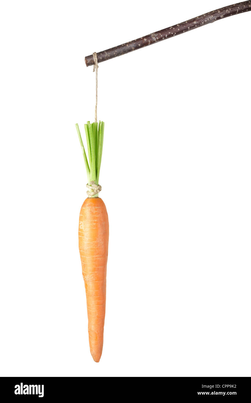 Carrot on a stick Stock Photo Alamy