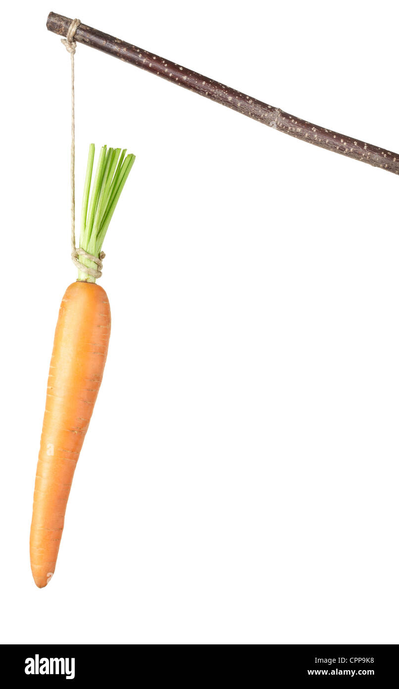 Carrot hanging and stick Stock Photo