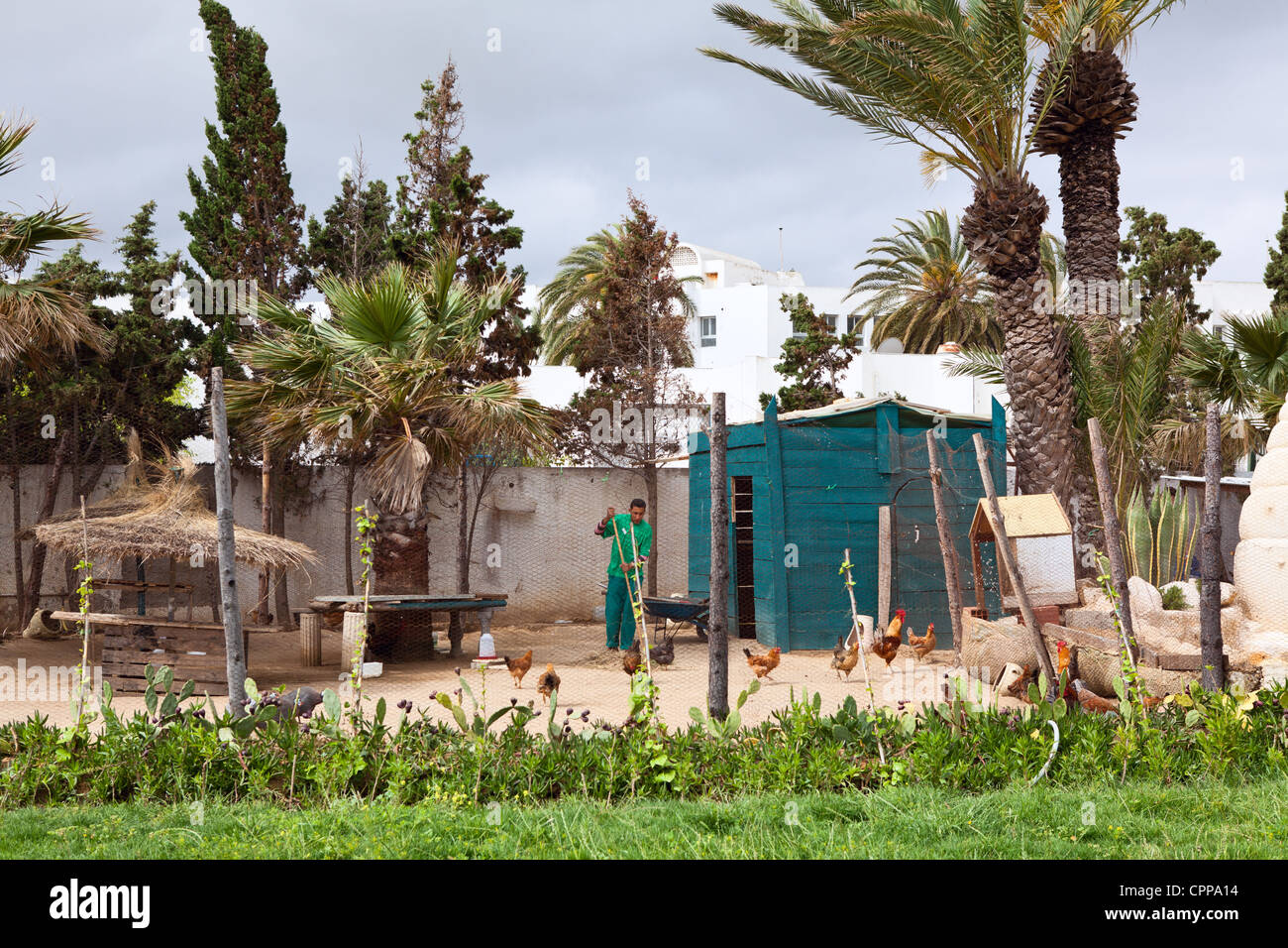 Manual worker in bird farm in hotel territory on circa May, 2012 in Monastir, Tunisia Stock Photo