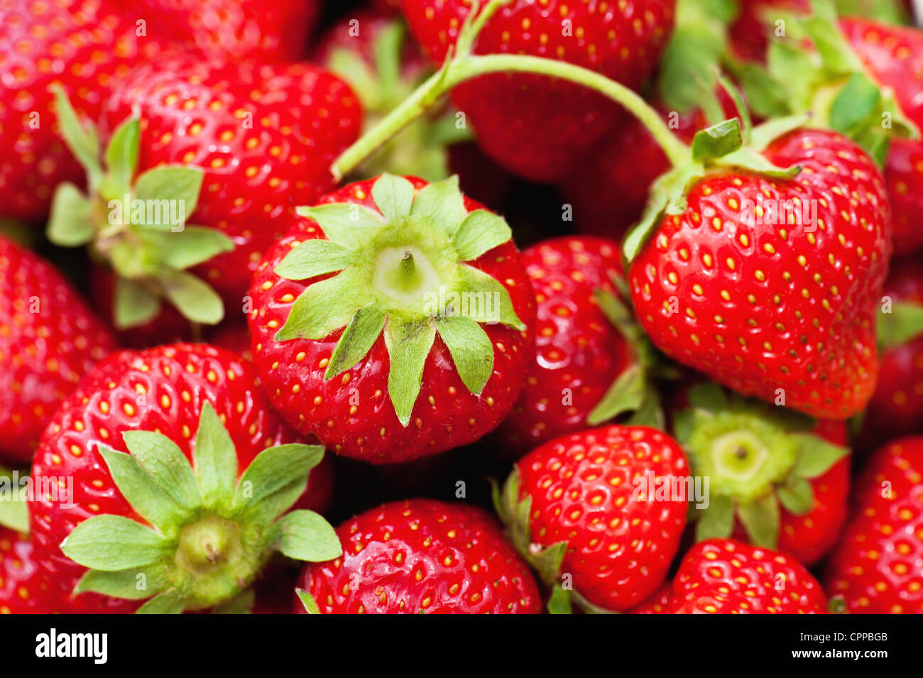 Closeup fresh red strawberry hi-res stock photography and images - Alamy