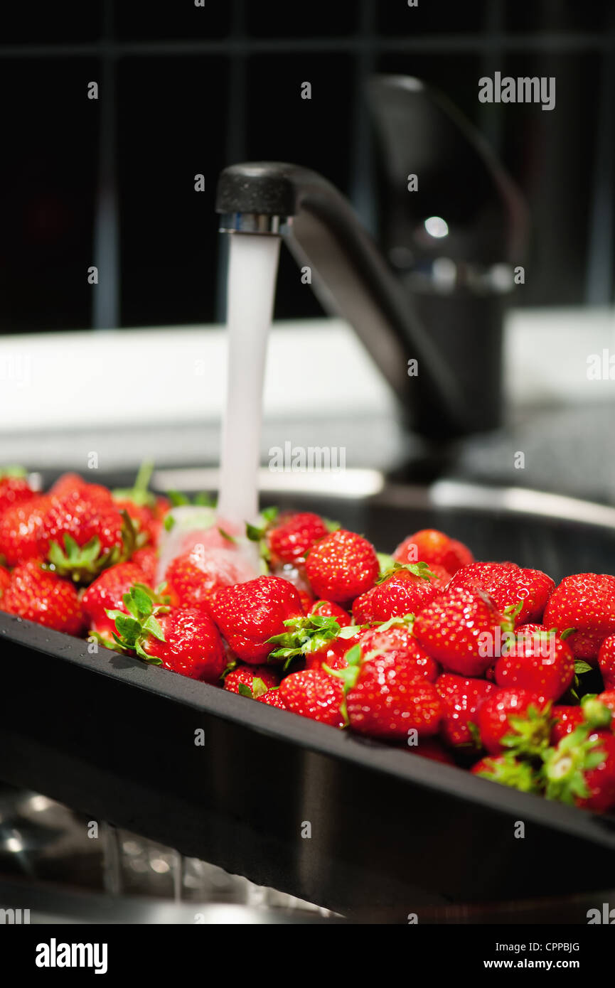 Seeds sink in water hires stock photography and images Alamy