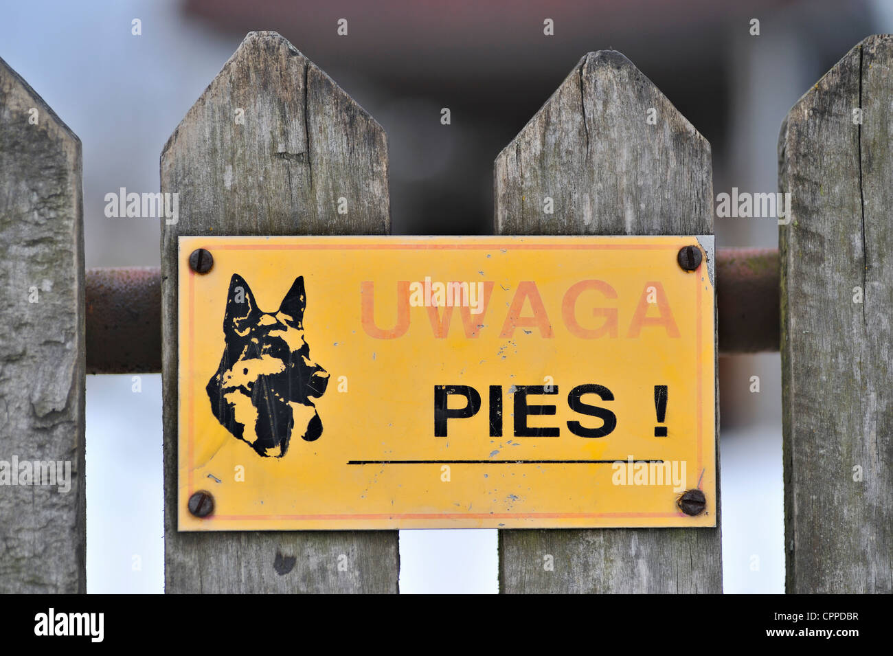 Beware of dog sign on an old wooden fence, Mazovia region, Poland Stock Photo