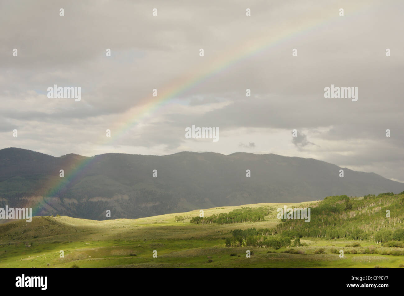 Rainbow green hi-res stock photography and images - Alamy