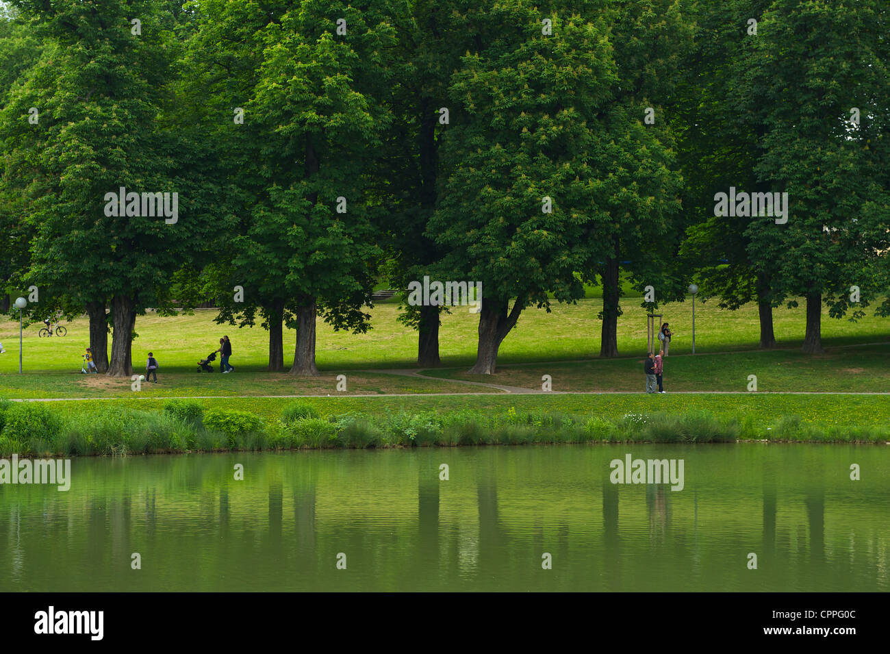 Citiy Park of Stuttgart alongside the train tracks trees of the park ...