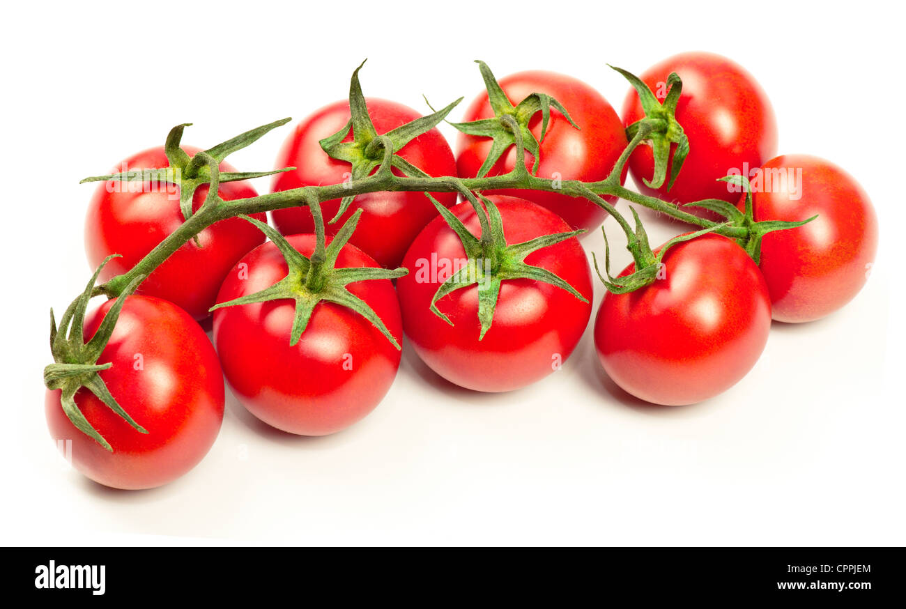 Fresh branch of tomatoes on white background Stock Photo - Alamy