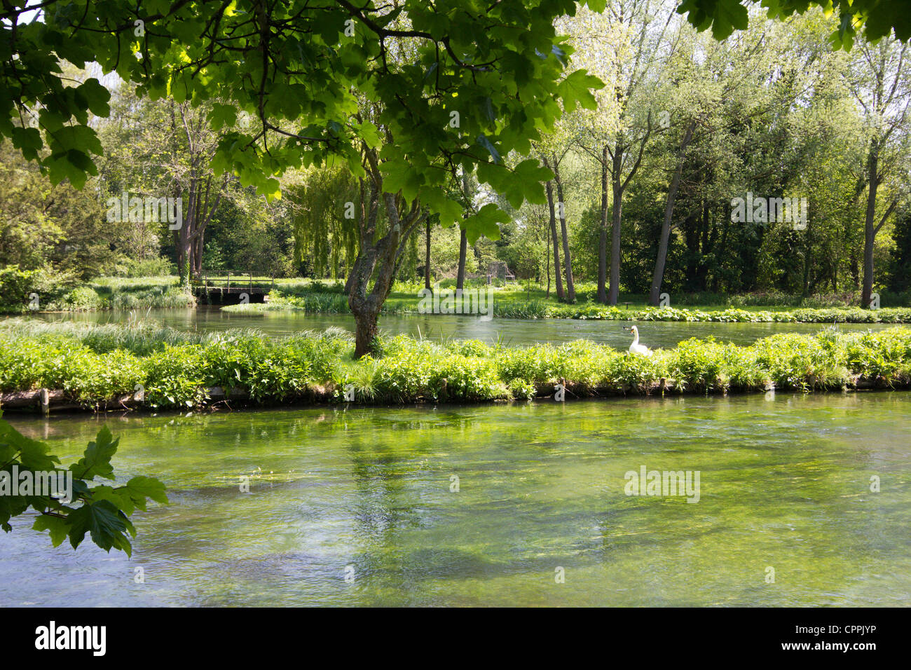 river test hampshire england uk Stock Photo - Alamy