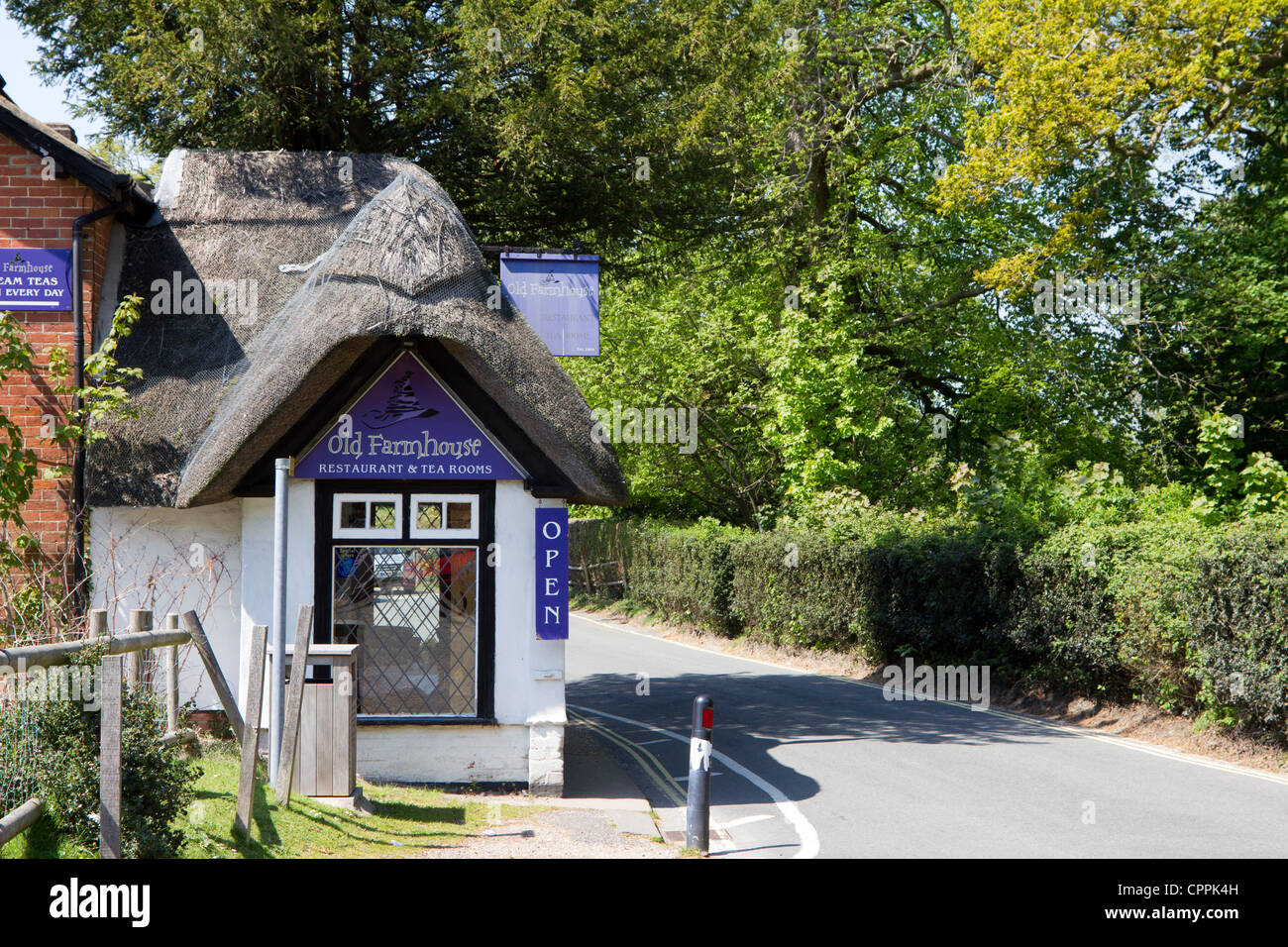 burley street new forest hampshire england uk Stock Photo Alamy