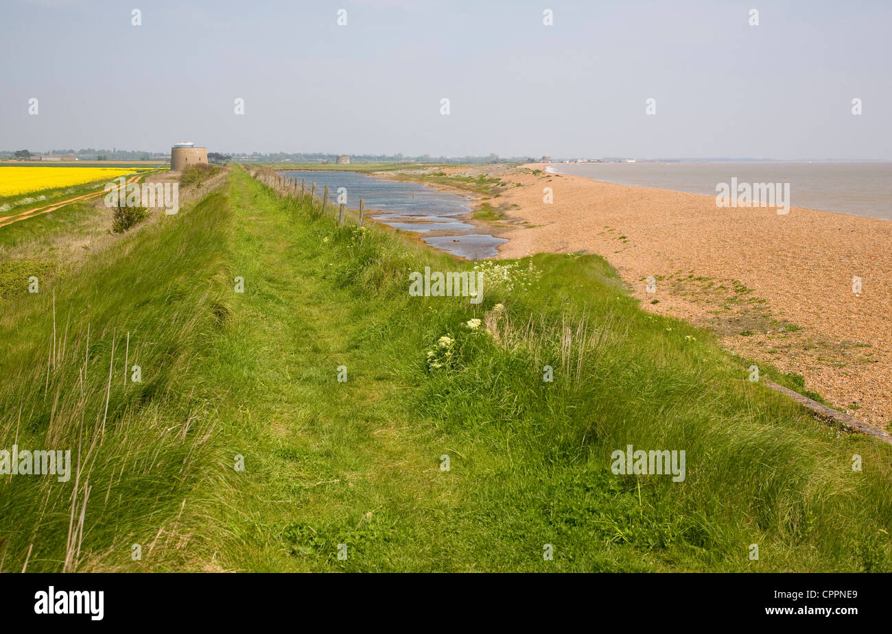 Shingle bay bar beach North Sea coast Alderton, Hollesley Bay, Suffolk, England Stock Photo