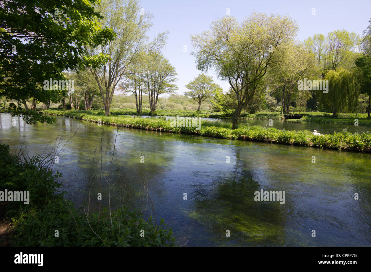 river test hampshire england uk Stock Photo - Alamy