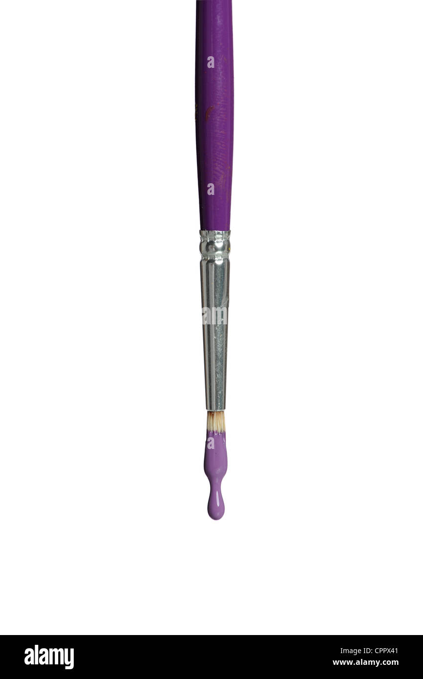Paintbrush dripping purple paint isolated over white background Stock Photo