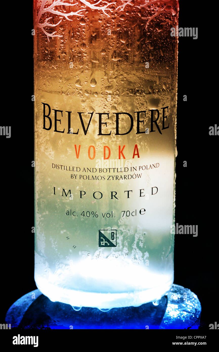 Belvedere Vodka EMPTY Bottle 1.75 liter- Named after the Belvedere Palace