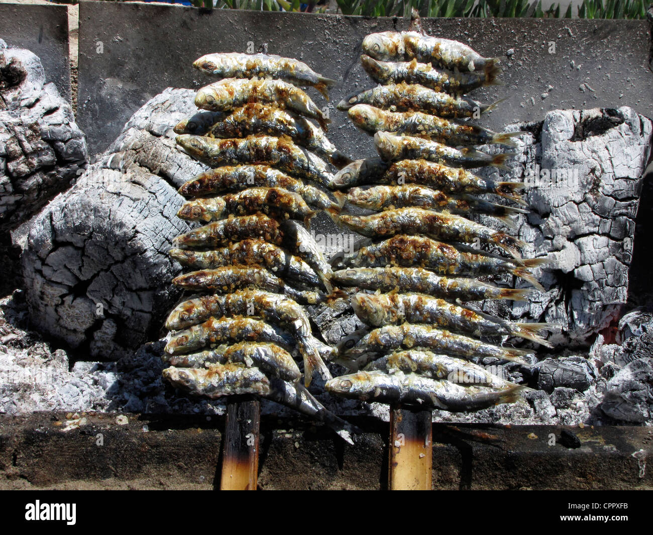 Spain Andalusia Costa Del Sol Marbella BBQ roasted Sardine fish Stock