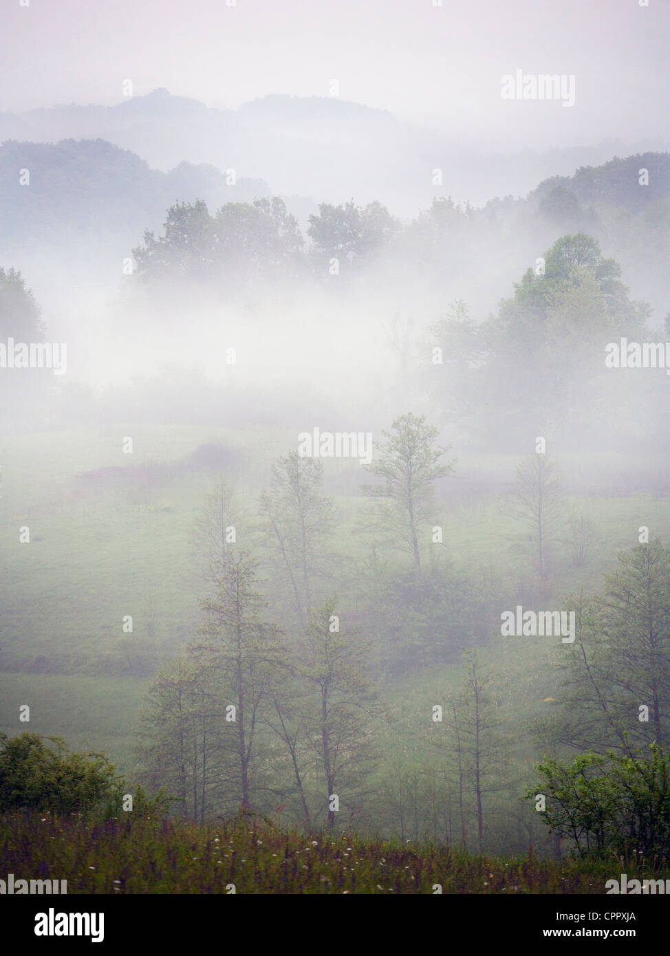 Hill in mist in Croatia Stock Photo