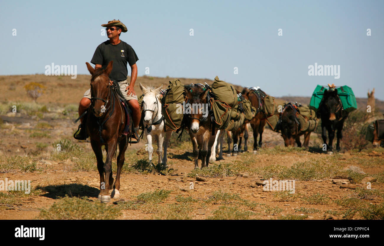String line guide hires stock photography and images Alamy