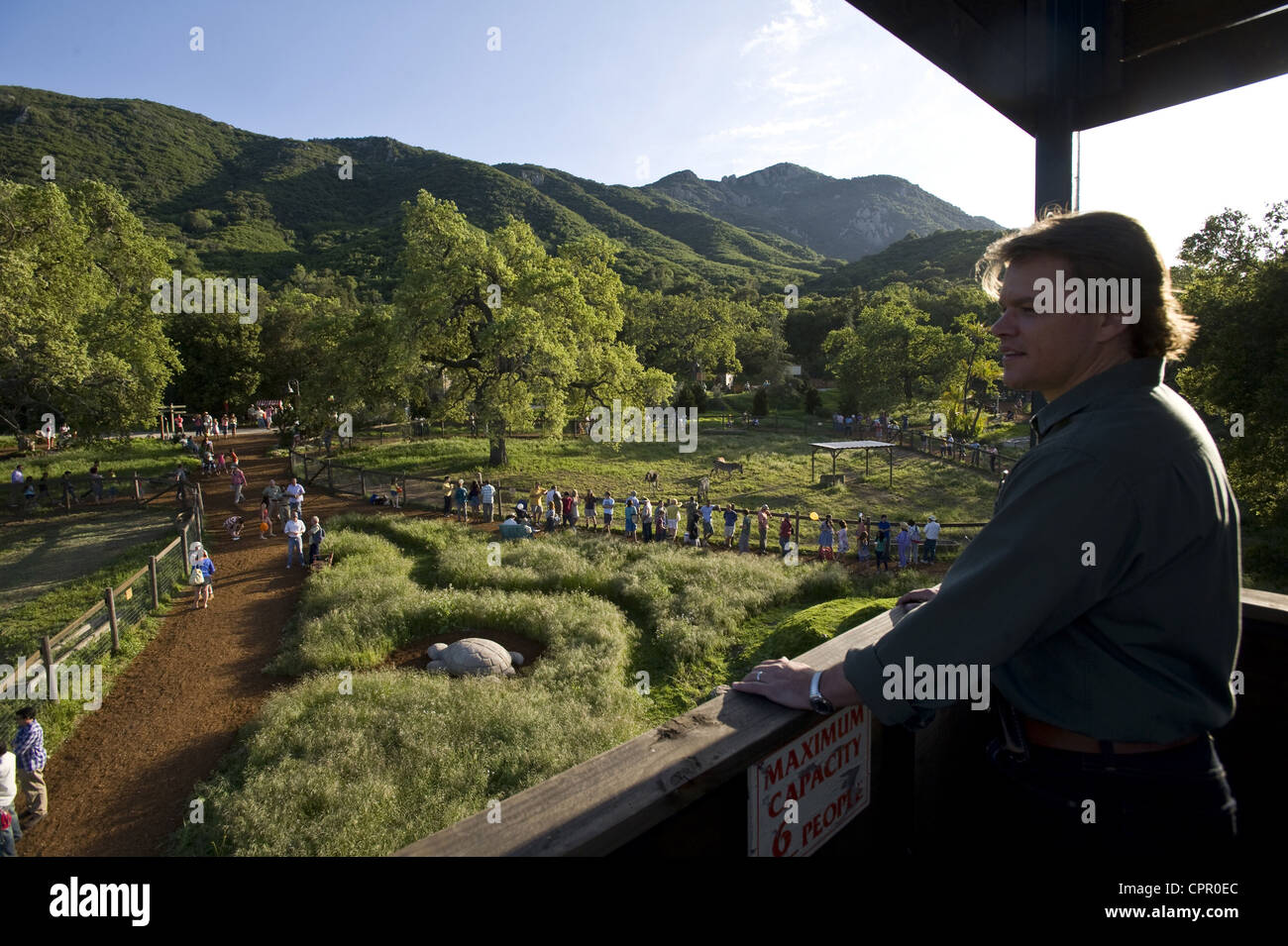 We Bought A Zoo Stock Photo Alamy