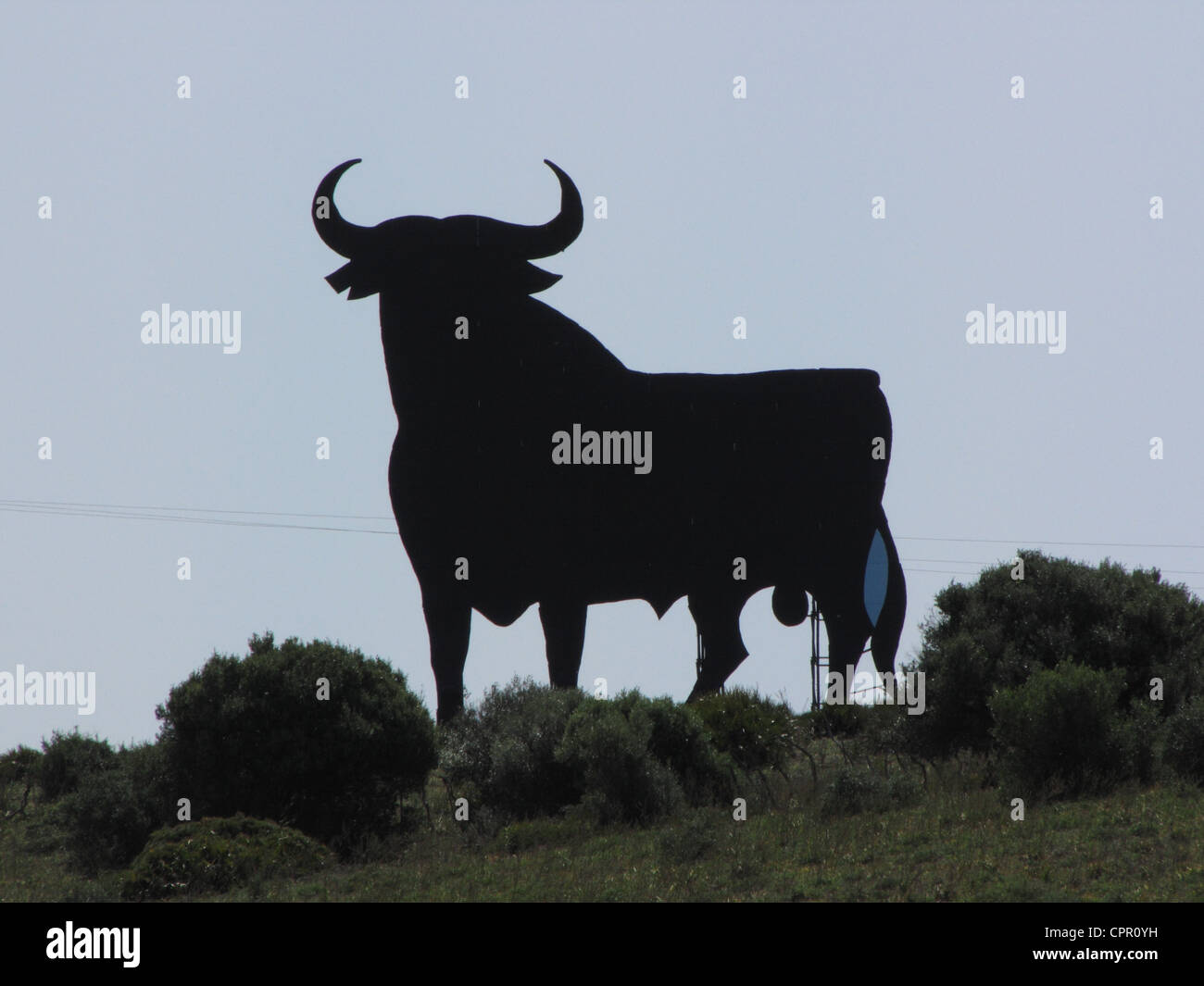 Spain Andalusia Bullfight Bull symbol Stock Photo