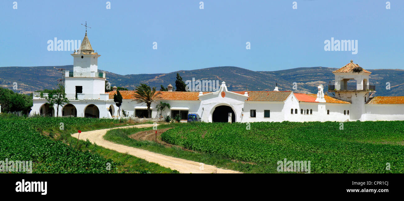 Spain Andalusia Farm house Stock Photo