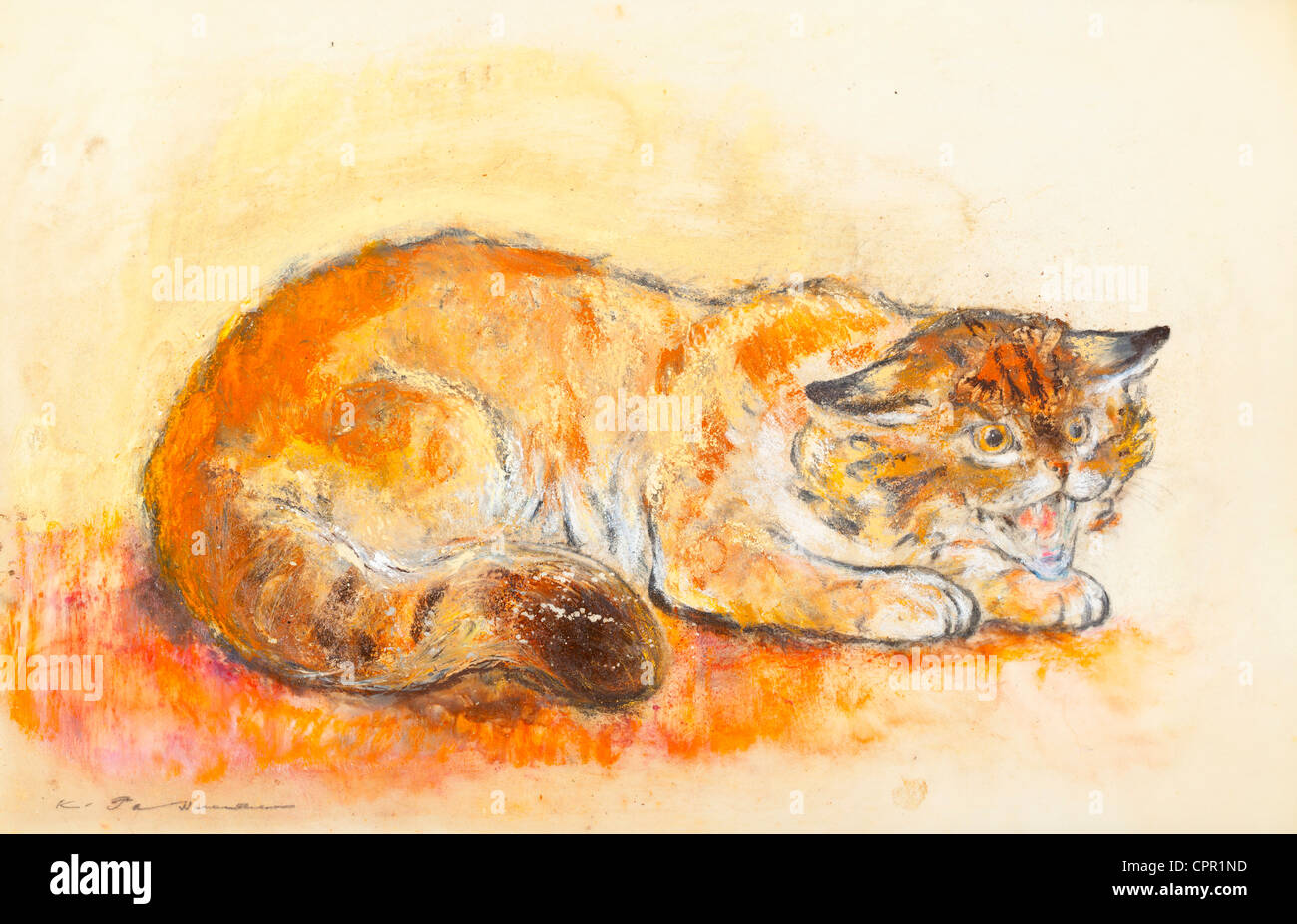 Persian cat pastel chalk on paper by Kurt Tessmann Stock Photo Alamy