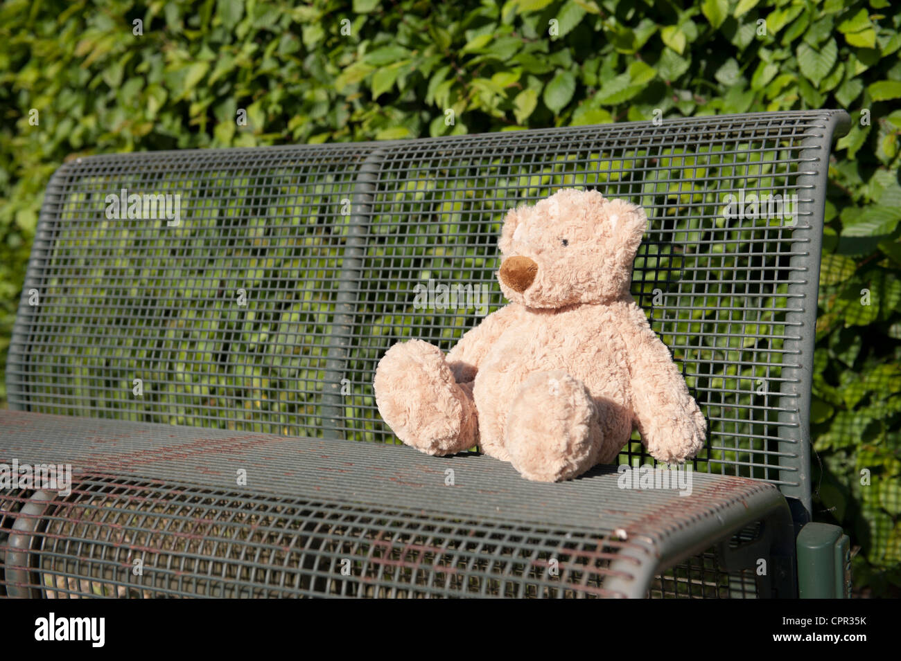 lost teddy bear seated on a iron bench Stock Photo - Alamy