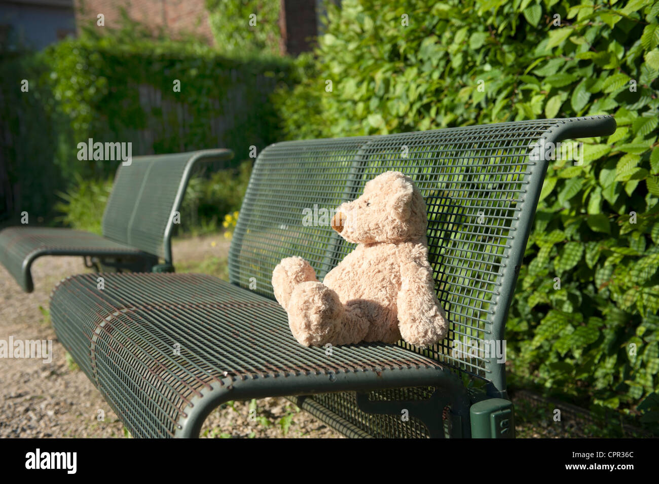 lost teddy bear seated on a iron bench Stock Photo - Alamy