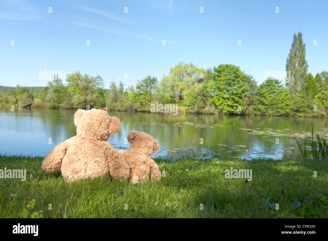 back view of teddy bears looking at the lake Stock Photo